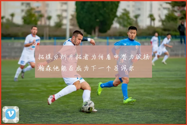 拓媒分析开拓者为何看中潜力股杨瀚森他能否成为下一个吕佩尔